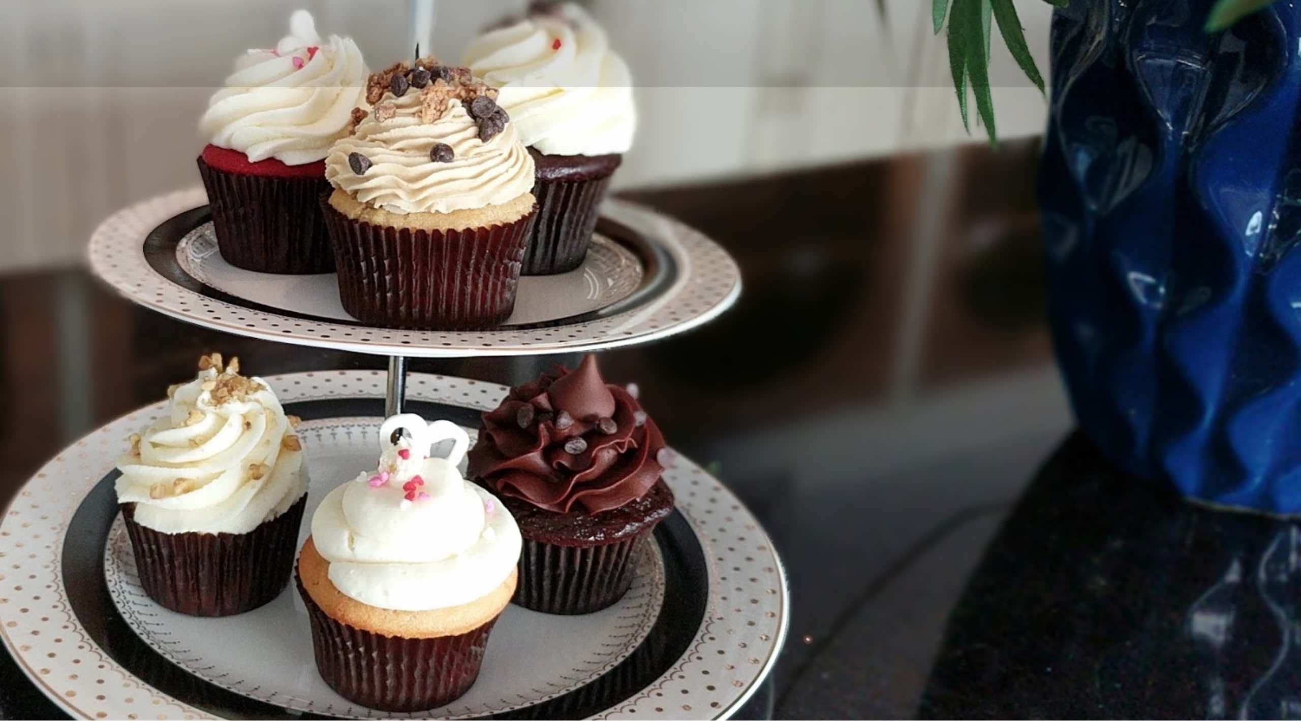 Cupcakes from New Upscale Coffee & Bake Shop in Mount Dora Allyson A