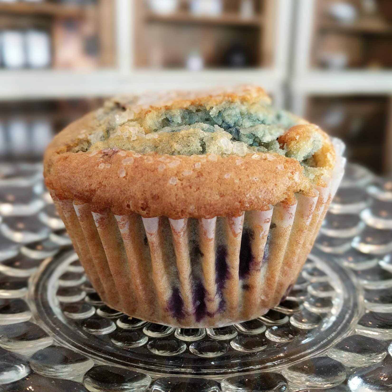 Blueberry Muffin